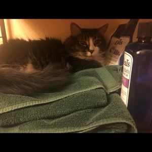 Meet your Posher, Kristine